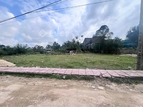 Bán đất Thôn Nam Sơn Xã Toàn Lưu Tỉnh Hà Tĩnh cách mặt đường TL3 100m gần câu Cà Cưỡng.