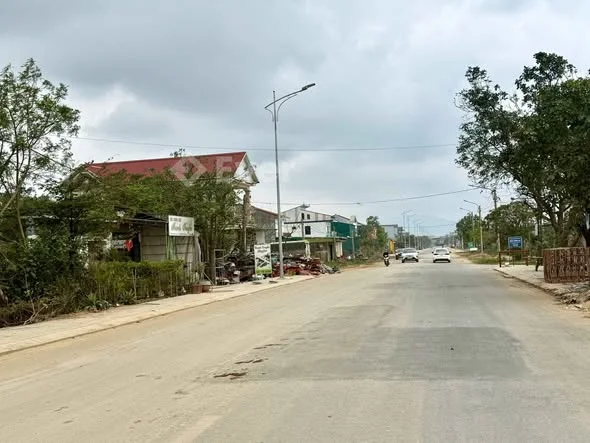 Ảnh đại diện Đại Lâm Mộc