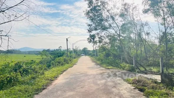 ĐẤT THÔN VIỆT YÊN NAM ĐIỀN THẠCH XUÂN HÀ TĨNH Diện tích 401,1m2