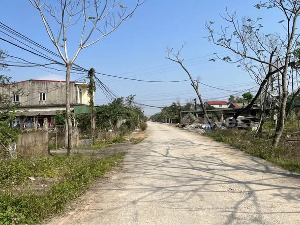 Ảnh bất động sản