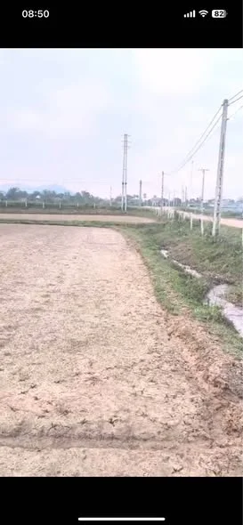 # Gia chủ cần bán Trang Trại Thôn Hoà Bình- Thạch Xuân.- Diện tích gần 6000mv