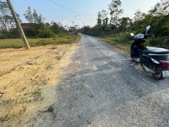 _Hàng chính chủ đất xóm Trường Thịnh- Nghi Trường _Diện tích 151m2 full thổ cư