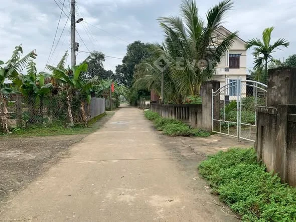 Hàng phân lô thuộc Nhan Biều _ Triệu Thượng _ Triệu Phong ( củ )