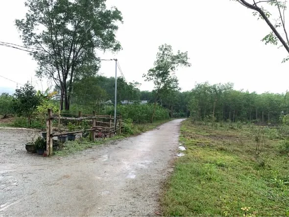 ĐẤT VUÔNG VẮN THOÁNG 3 MẶT ĐẸP - GIÁ 260TRPhong Xuân - TDP Vinh Ngạn - Thỏa thuận - 165m²