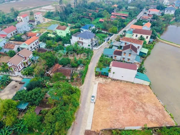 Chủ quyết định xả hàng để ăn TếtNhập khẩu Đồng Hới mà giá của cách đây mấy năm trước quá là hời.