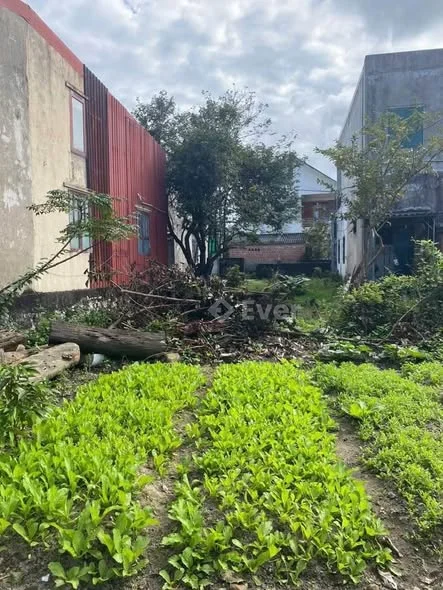 Chủ gửi lô tdp1 Mỹ Cương -Bắc Nghĩa ngõ Lý Nhân Tông đối diện nhà văn hoá đi vào.dt 97,8m2