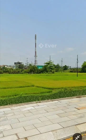 SIÊU PHẨM ĐẤT BIỆT THỰ KDC 577 Vị trí siêu VIP Lô góc ... 317m2 Hướng TB - TN