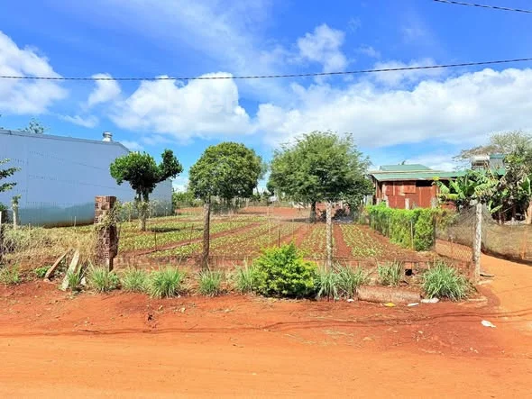 ĐẤT HẺM 89 LÝ NAM ĐẾ - PHƯỜNG HỘI PHÚ - GIA LAI NÚI