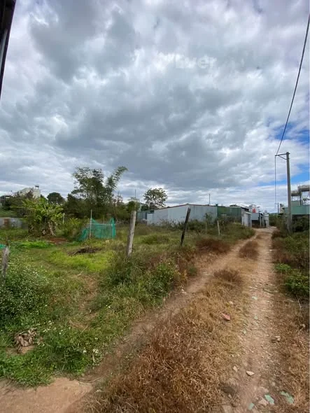 Lô đất hẻm 121 Lê Đại Hành thông Phạm Ngọc Thạch khu dân cư đông đúc