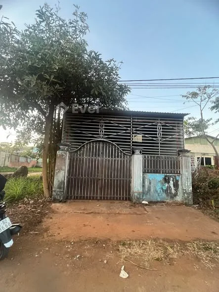 LÊN CĂN NHÀ CẤP 4 HẺM TRƯƠNG ĐỊNH GẦN CƠM LAM GÀ NƯỚNG BAZAN- TP PLEIKU