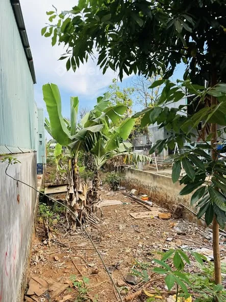 Ảnh bất động sản