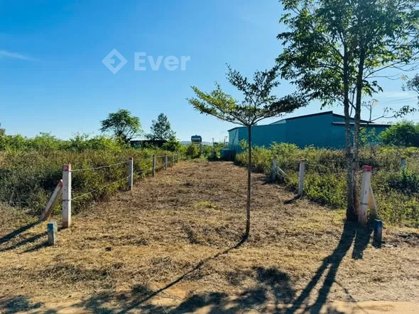 Sếp em xã lỗ lô đất hẻm 104 TRẦN VĂN ƠN - Zá bánn trong tết nhé - Dt : 5,4 x 27m ( Đất ở toàn bộ )