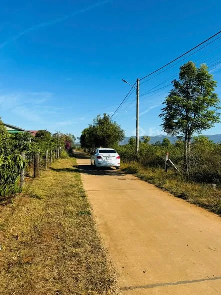 Sếp em xã lỗ lô đất hẻm 104 TRẦN VĂN ƠN
- Zá bánn trong tết nhé
- Dt : 5,4 x 27m ( Đất ở toàn bộ )