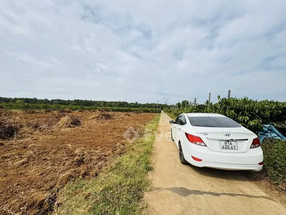 CẦN BÁNN 4 LÔ LIỀN KỀ HẺM 123 HÀN THUYÊN- Vị trí gần hàng thông PHÓ ĐỨC CHÍNH- Dt : 5x35m