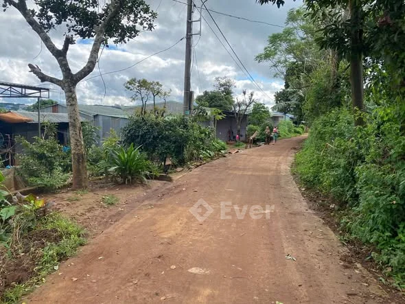 Hẻm Trường Chinh thông Lý Chính ThắngLàng Lang- P Hội Phú- Gia Lai