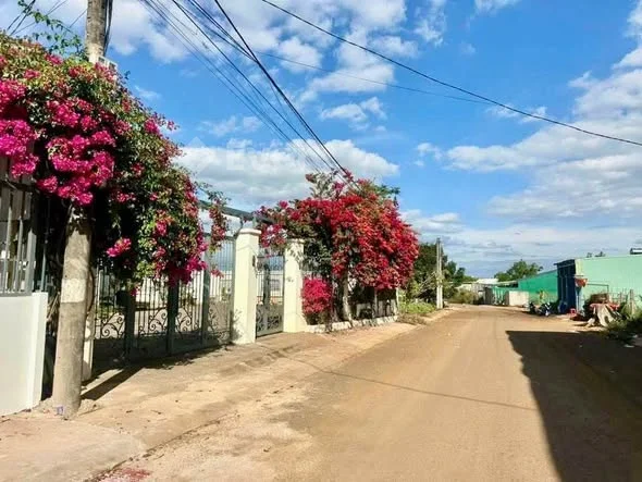 Ảnh bất động sản