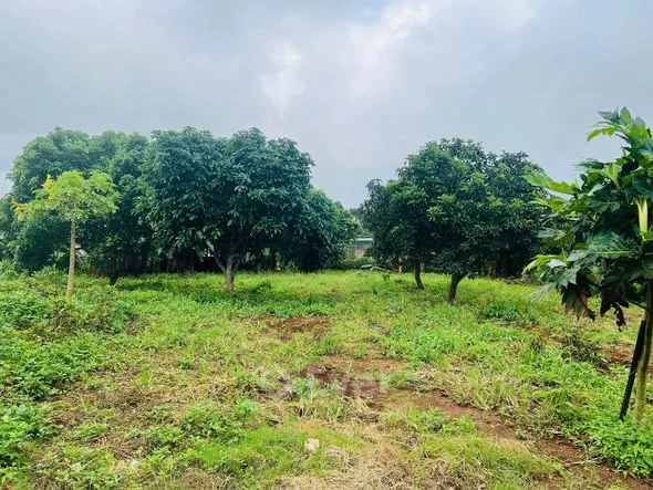 Ảnh bất động sản