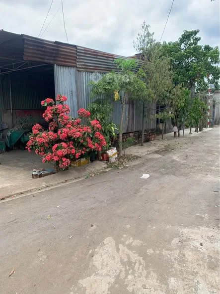 BÁN ĐẤT KÈM NHÀ Lô góc 2 MT đường Lê Đại Hành DT. 4.60x21m, tổng dt 100m2 full thổ cư Giá. 2ty9xx.