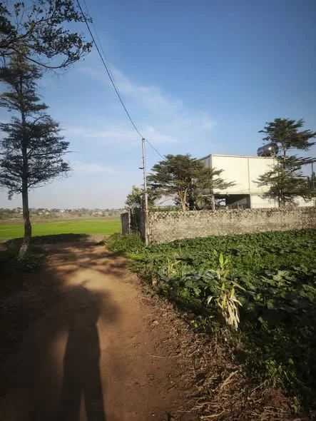 Bán lô đất bằng đẹp view ruông hẻm nguyễn bá lại gần ngã 5 vào 600m.