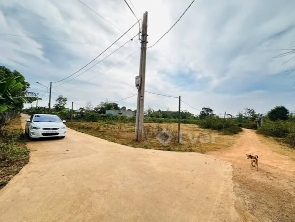 BÁNN ĐẤT HẺM GÓC 2 MẶT TIỀN ĐÀO DUY TỪ - Dt : 11 x 24m ( 50m đất ở )