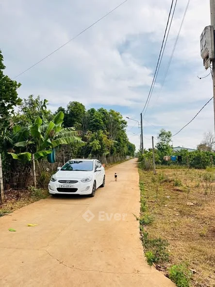 Ảnh bất động sản