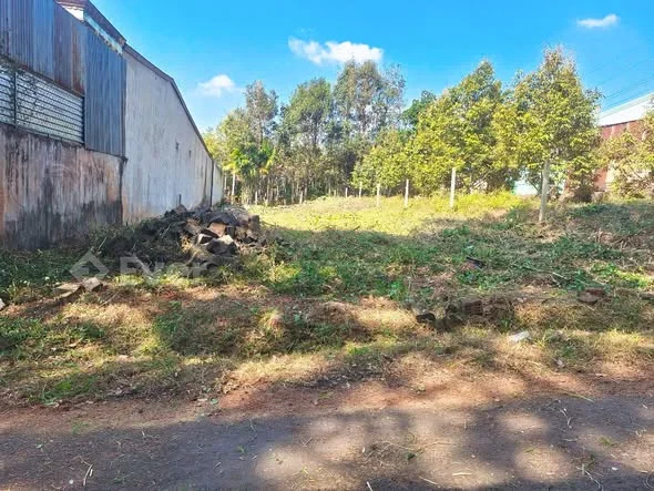 ĐẤT mặt tiền Phan huy ích phường hội Phú cách lê thánh tôn 50 m cách