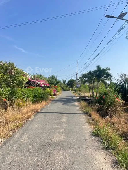 THỔ CƯ RỘNG - HƯỚNG BIỂN - Đ. NHỰA Ô TÔ - XÃ HÀM CƯỜNG - BÌNH THUẬN