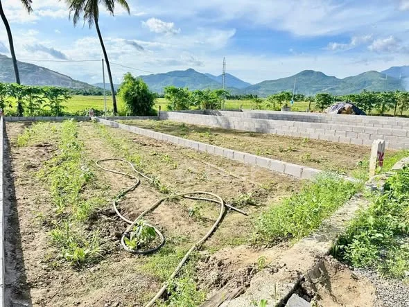 Lô đất mặt tiền đường nhựa Ấp Tân Sinh xã Diên Điền ( Diên Sơn cũ ), tỉnh Khánh Hoà - 1,25 tỷ - 163m²