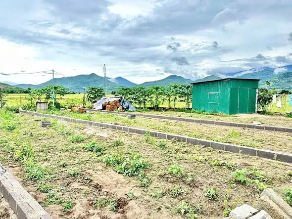 Ảnh bất động sản