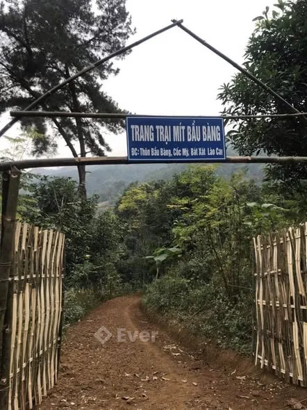 Ảnh bất động sản