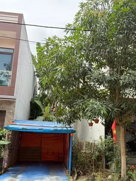 Lô đất mặt đường Phùng chí kiên Bắc lệnh TP Lào cai
Gần chợ B6, mặt đường lớn dễ kinh doanh, gần các - Thỏa thuận - 100m²