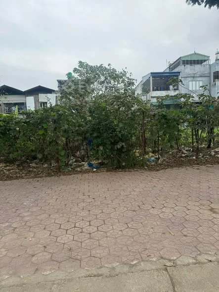 1Lô ngay B3 đối diện chợ Châu UýKhu vực kinh doanh sầm uất nhộp nhịpDt 111,2