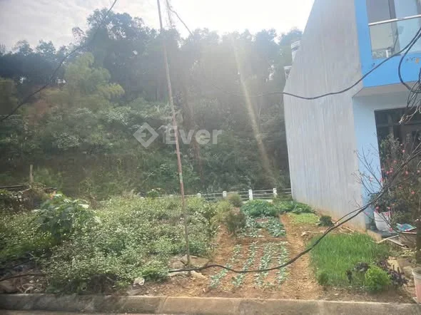 2 TỶ 450 TRIỆU – LÔ ĐẤT 2 MẶT THOÁNG TRƯỚC SAU – MT 7,5M – KHU B6