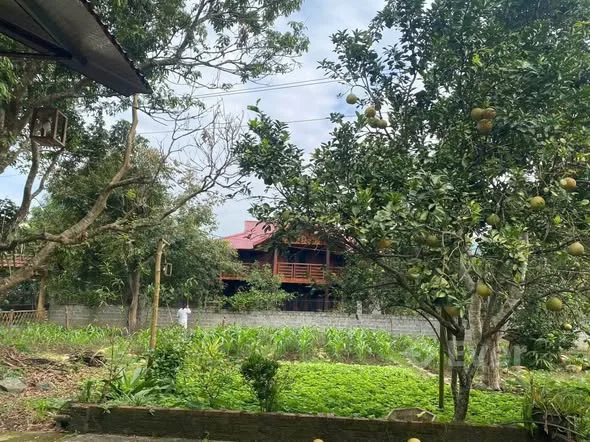 Chính chủ bán lô đất 445.7m2.Địa chỉ:Thôn Làng Giàng,xã Thái Niên,tỉnh Lào Cai - 990 triệu - 150m²