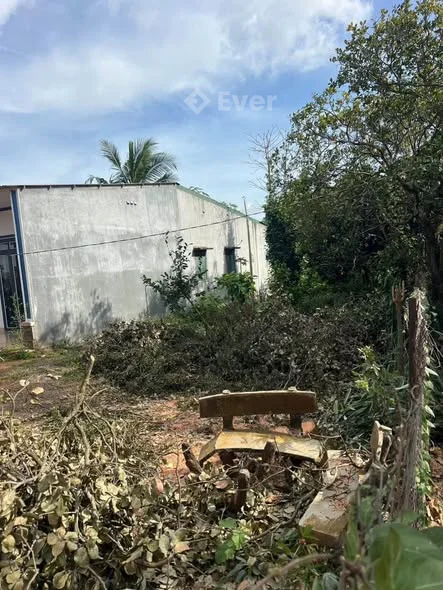 BÁN LÔ THỔ CƯ KHU VỰC ĐẮC ĐỊA HOÀ PHÚ- DAKLAKDiện tích: 6,4* 50 - Thỏa thuận - 300m²