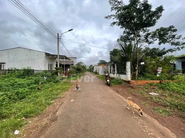 Ảnh bất động sản