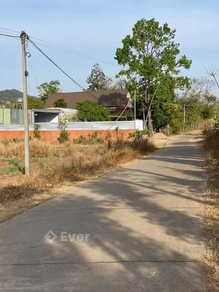 Siêu hiếm rẽ Tết ra mắt lô đất Mặt Tiền bê tông rộng đẹp , khách mua lên thổ cư tách thửa