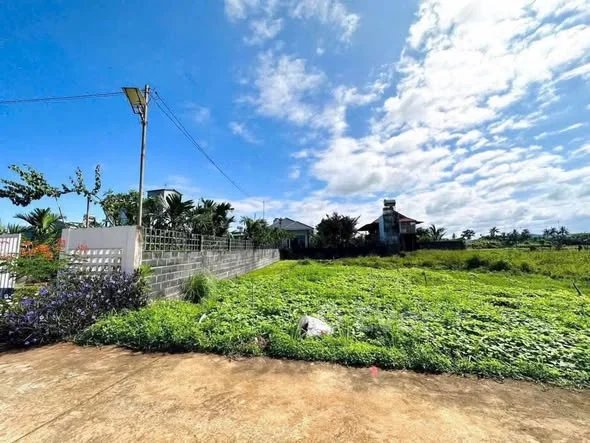 RẺ NHẤT TÂN HƯNG, PHỪƠNG EAKAO5x32 tc60 giá chỉ 890