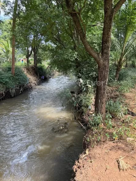 SIÊU PHẨM VIEW SUỐI ĐÁ – 100M MẶT SUỐI DT ~1 sào – 90m² thổ cư