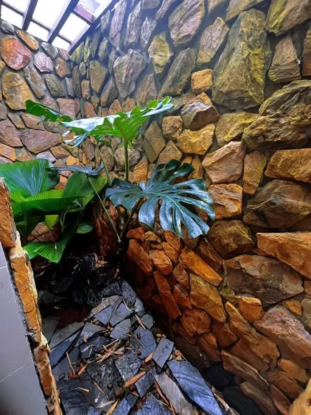 BÁN NHÀ VƯỜN TRUNG TÂM – 3,2 TỶ Hẻm Đào Duy Từ (hoặc hẻm 112 Phạm Ngũ Lão), TP Buôn Ma Thuột