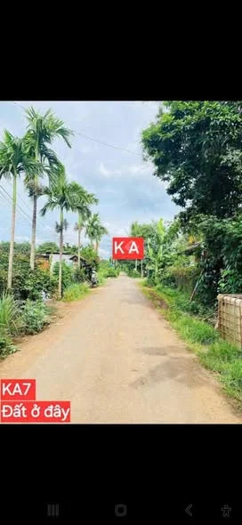 $$$ KHAI XUÂN BÁN LÔ ĐẤT MẶT TIỀN KA7 TÂN AN MỚI BUÔN MA THUỘT