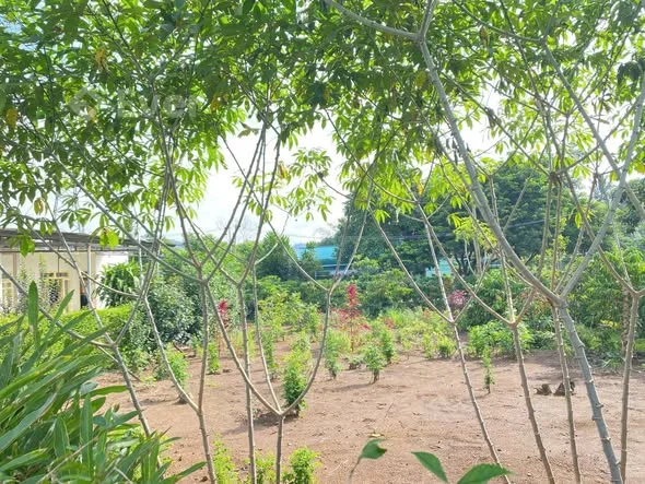 BÁN ĐẤT HẺM 255 Y WANG – GIÁ 2 TỶ 750 TRIỆU - 2,75 tỷ - 220m²