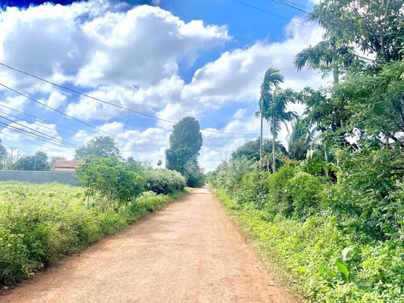 CẦN TIỀN BÁN NHANH Đất mặt tiền đường nhựa Eakmat – Quy hoạch 20m