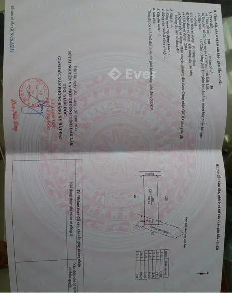 Hơn 3 sào mặt tiền đường Cu suê giáp YMOAN Trên đất có Cafê, Tiêu.