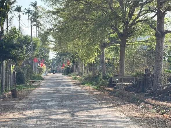 BÁN LÔ ĐẤT ĐẸP 26B HOÀ THUẬN PHƯỜNG TÂN AN Diên tích : 5x23 TC: 60m2