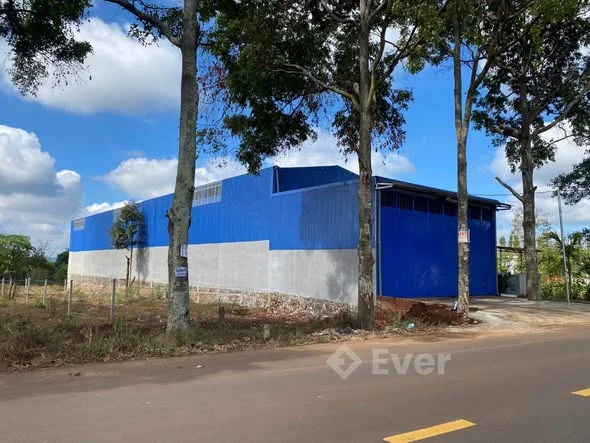 MẶT TIỀN PHAN HUY CHÚ – HOÀ PHÚ | ĐƯỜNG 40M – Diện tích: 10x60m (600m²)