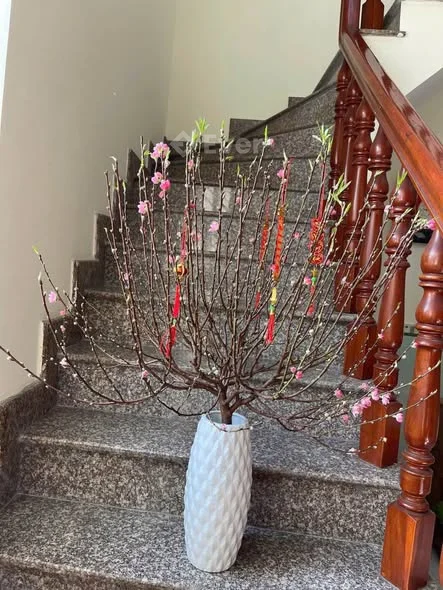 - Bán Nhà 1 Trệt 2 Lầu Góc 3 Mặt Tiền, Phường Trung Dũng, Gần A42 Quảng Trường