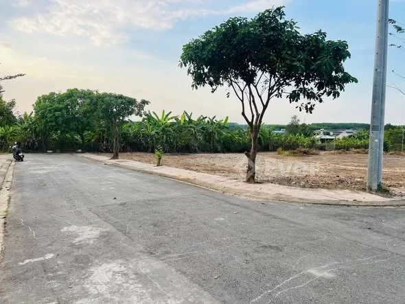 Bên hông trường Trịnh Hoài Đức giá chỉ 1ty190tr. Diện tích 5x20 đường nhựa vỉa hè cây xanh