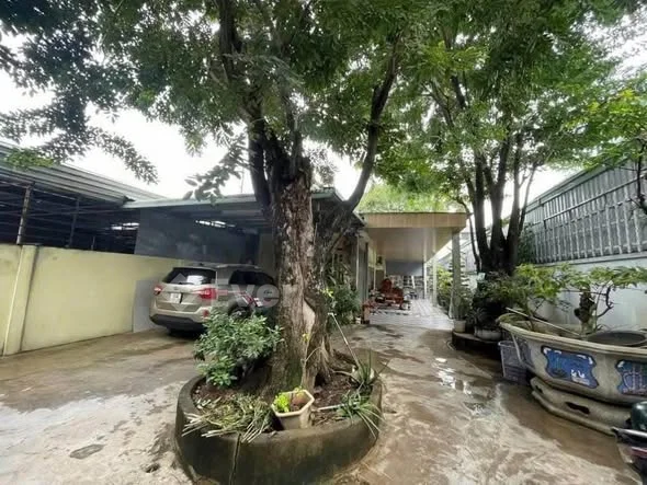 Bán căn nhà cấp 4 Gia Viên Tân Hiệp giá cực rẻ =>- DT: 10x50 (500 m2)