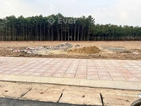 Đường nhựa trục chính, vỉa hè cây xanh hạ tầng đầy đủ giá 1 tỷ 4xx. Vị trí Quảng Tiến,Trảng Bom